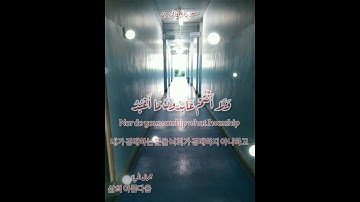 سورة الكافرون بصوت شريف مصطفى