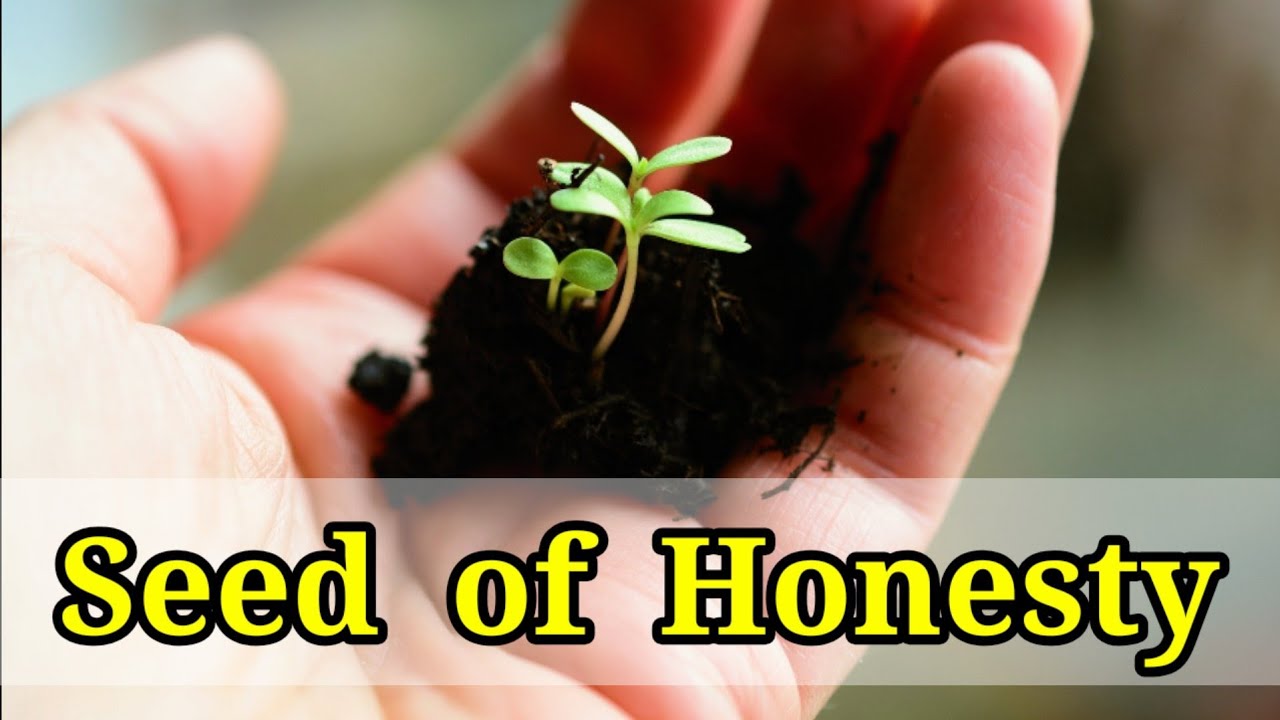 Seed of Honesty | Motivational Video | Moral Story in English | Best ...