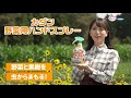 カダン 野菜用ハンドスプレー