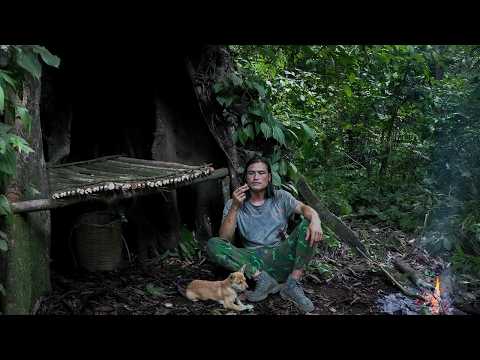 I Built a Hidden Shelter Inside a Giant Tree | Survival Instinct | EP28