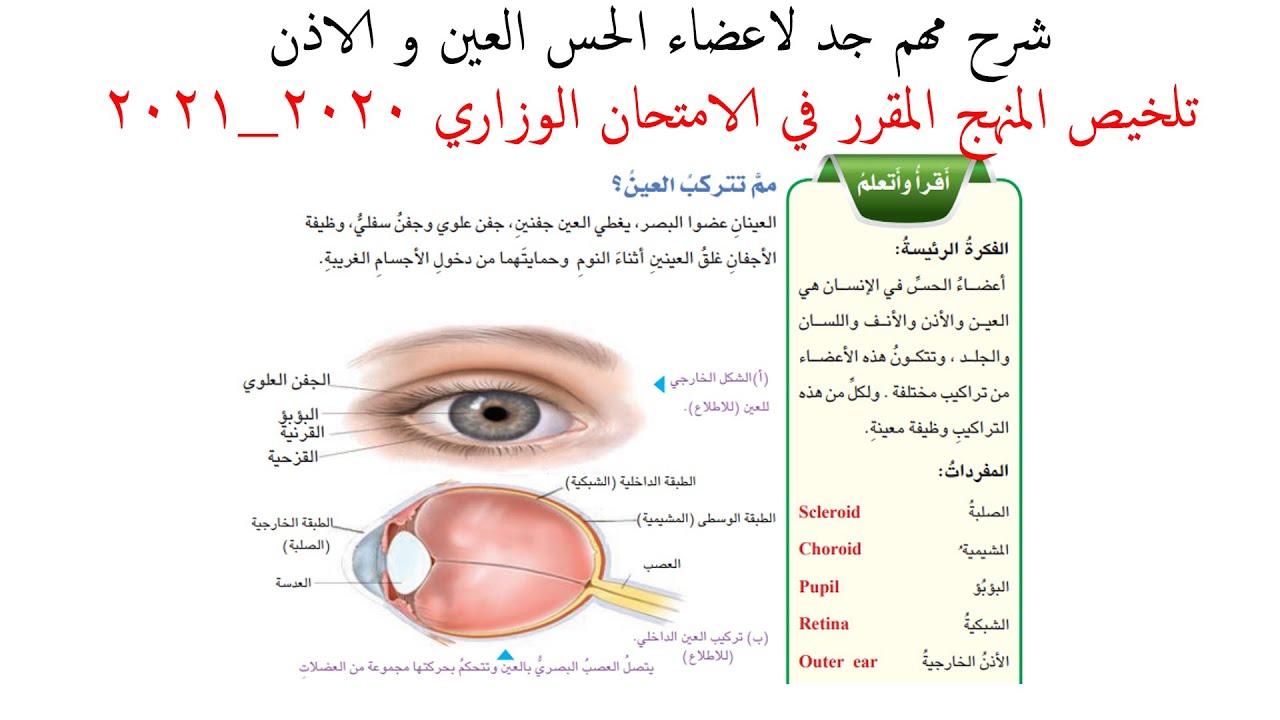 أسرع شرح درس كان واخواتها للصف السادس عين