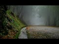 Beautiful Relaxing Music 🌿 Stress Relief, Water Sound and Sleep Music, Spa & Yoga, Meditation Music