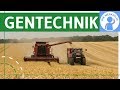 Gentechnik - Definition, Pro & Contra + Beispiele einfach erklärt - Folgen für Menschen & Umwelt