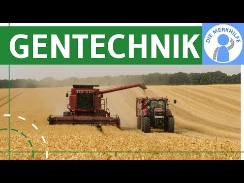 Video: Wie wird Gentechnik in der Landwirtschaft eingesetzt?