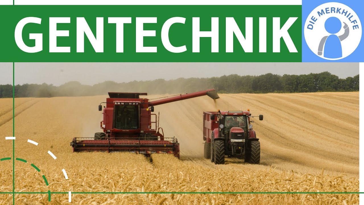 Gentechnik Definition Pro Contra Beispiele Einfach Erklart Folgen Fur Menschen Umwelt Youtube