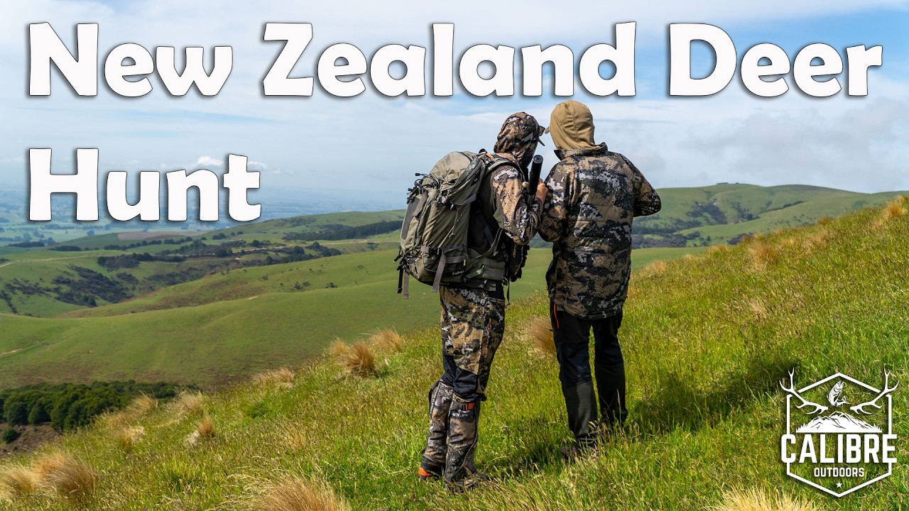 Летняя охота на оленей в регионе Саутленд, Новая Зеландия.