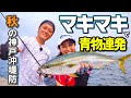 青物連発‼ 秋の神戸沖堤防ショアジギング！｜関西ローカル釣り番組『ガッ釣り関西』