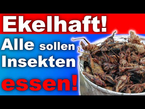 Video: Can-O-Worms, Grillen und Insekten