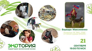 Как художница создала успешное частное хозяйство на 30 сотках в подмосковье