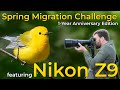 Spring migration bird photography challenge one year later