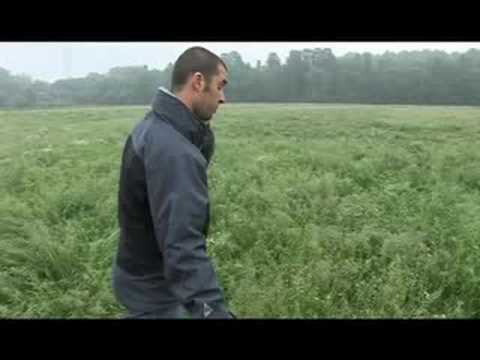 Kim de Wever belt over het gras in het veld