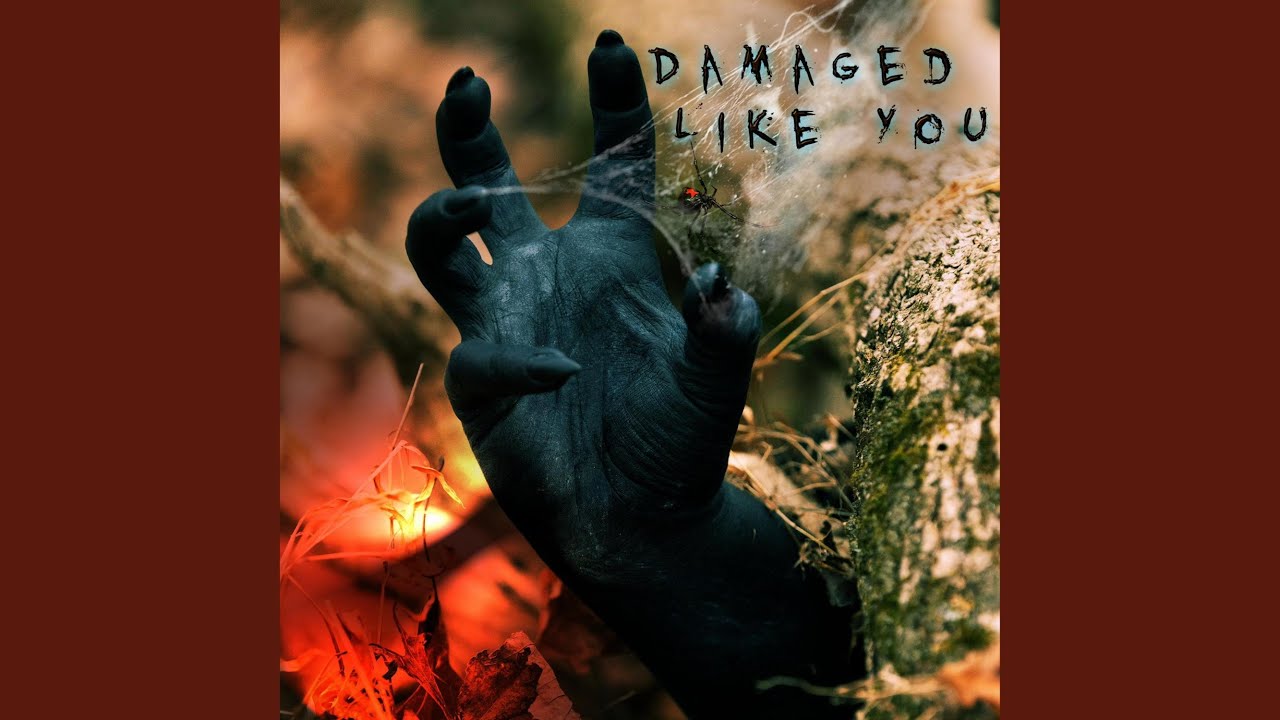 Damaged Like You