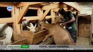  Goat Farming 101  How To Start And Profit From Scratch