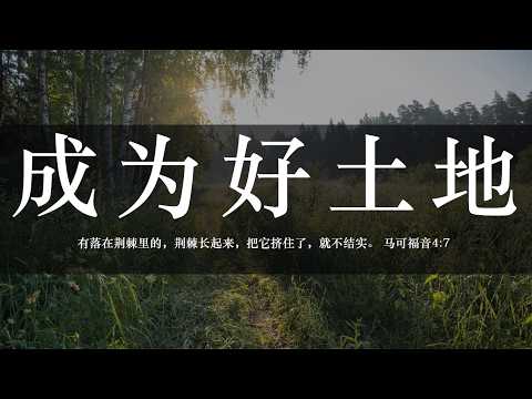 【睡前祷告】成为好土地20260918-主啊，求你赐给我们清晰的分辨力，明白什么是暂时的、什么是永恒的，让我们不被眼前的事物困扰，只抓住你的应许生活，扎根在你里面。