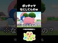 ポケモンレースしたらポッチャマ暴走w【ぽこあポケモン】