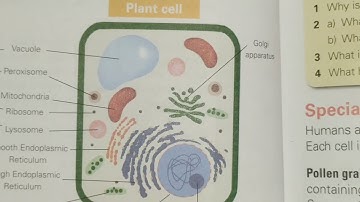 class 6 Science fact file unit 1 "Cellular Organization" Complete Exercise solved|Study with Afshan
