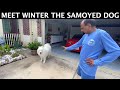 Meet Winter The Samoyed Dog | Indian Vlogger | Hindi Vlog | This Indian