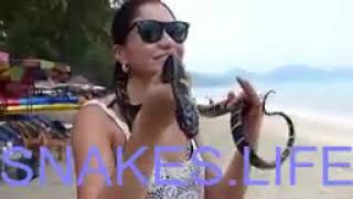 SNAKE LIFE - FUNNY SNAKE CHARMER PENANG MALAYSIA CULTURE by Animals Funny Life 7 views 4 years ago 2 minutes, 11 seconds