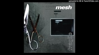 Mesh - Someone To Believe In / Untitled / So Important