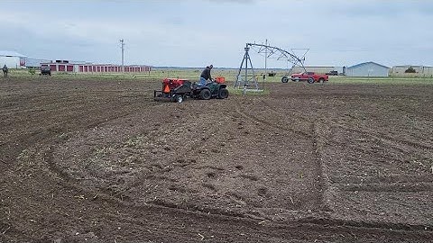 Annual Forages and Cover Crops | N Field Observations