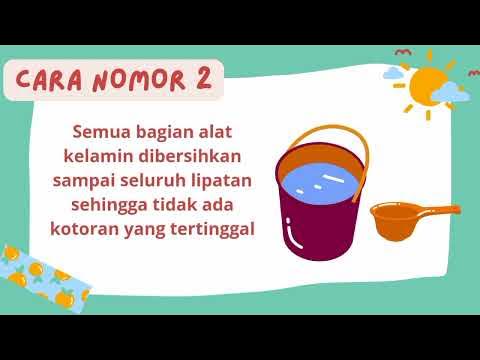 Merawat organ reproduksi