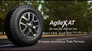 LA EXPERIENCIA AGILEX AT DE TRIANGLE