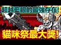 《貓咪大戰爭》貓戰最強角色!無敗編成の絕對核心!| 星帆貓咪介紹#115