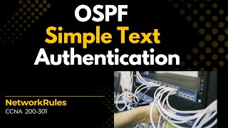 OSPF Simple Text Authentication in Cisco Packet Tracer | Step-by-Step Configuration (part-2)