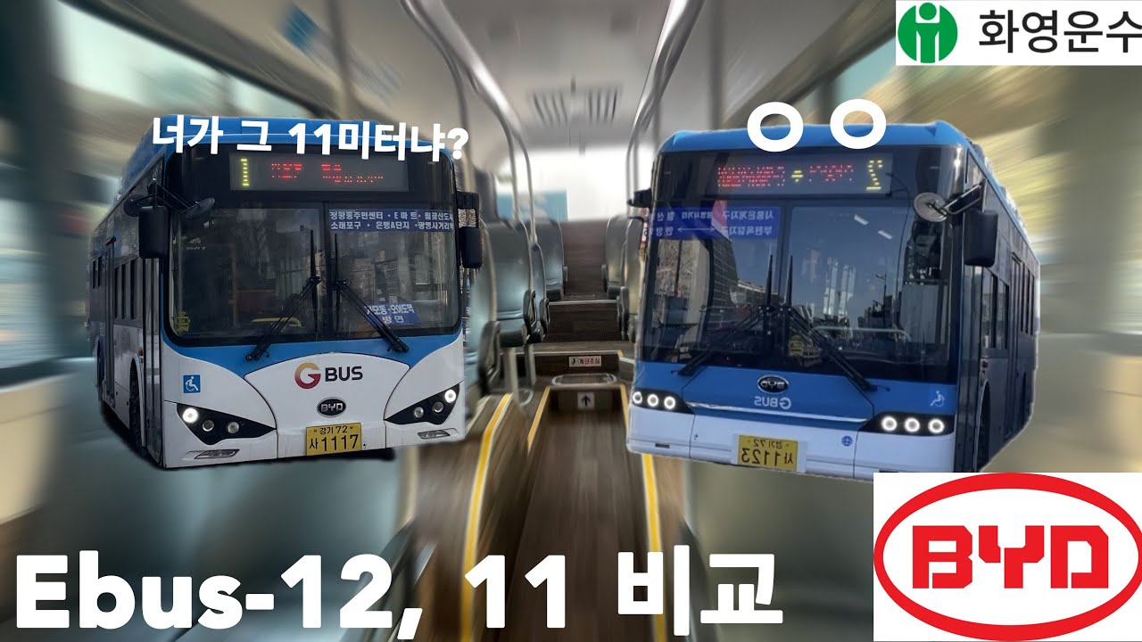 모두 대형 저상전기버스, BYD ebus-12 ebus-11 비교!
