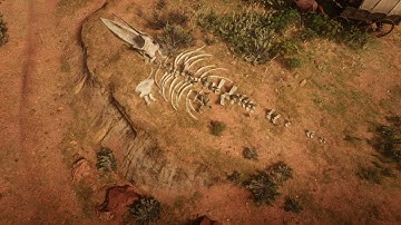 How To Study The New Austin Whale Bones As Arthur