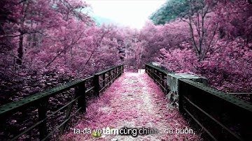 [Effect Subtitle] Aegisub No. 117