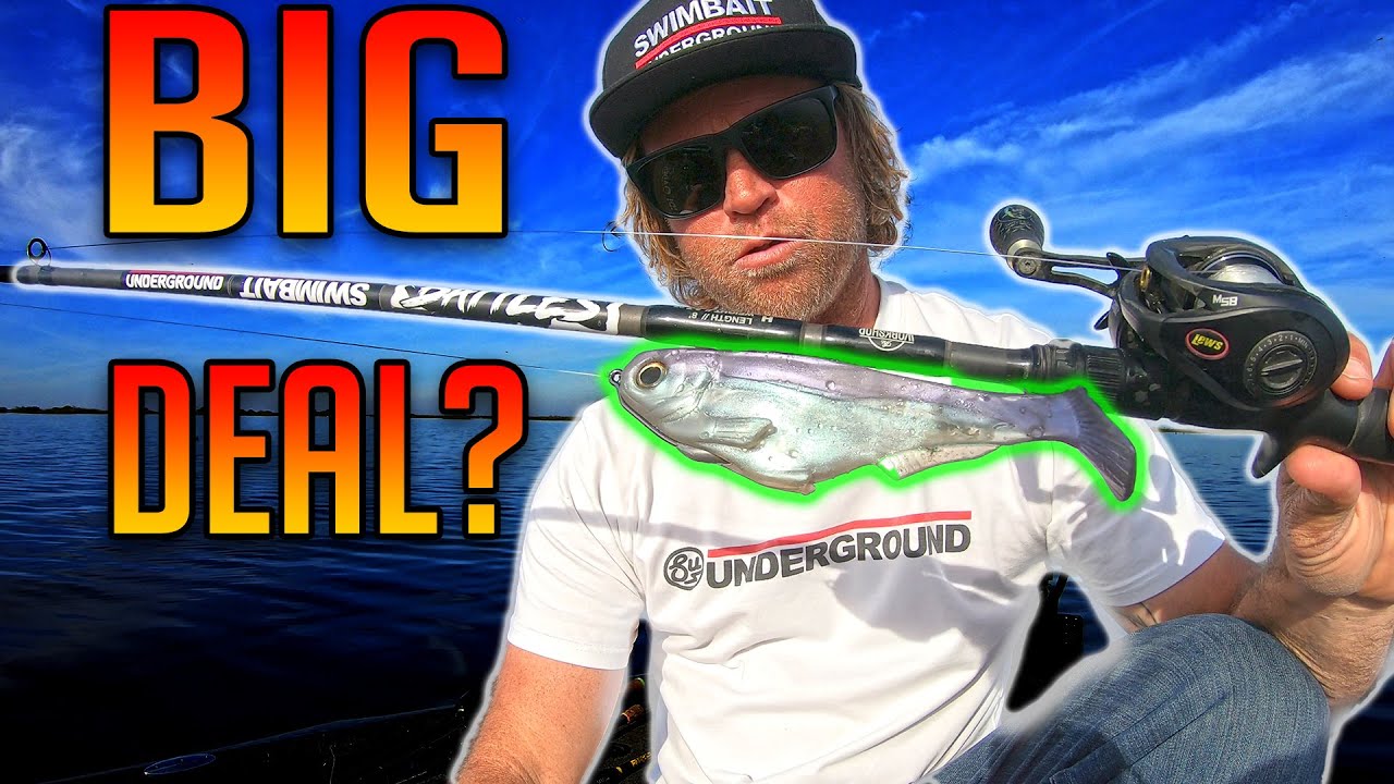swimbait fishing – mikeybalzz fishing