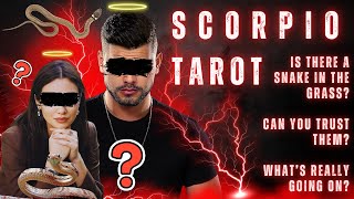 видео: СКОРПИОН⚡️ЧИСТАЯ ПРАВДА! 😲 ОНИ БОЛЬШЕ НЕ ХОТЯТ ПРИЧИНЯТЬ ТЕБЕ БОЛЬ 😔💔 картинка: СКОРПИОН⚡️ЧИСТАЯ ПРАВДА! 😲 ОНИ БОЛЬШЕ НЕ ХОТЯТ ПРИЧИНЯТЬ ТЕБЕ БОЛЬ 😔💔