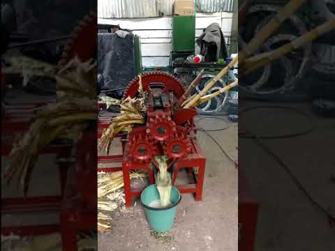 عصير قصب السكر