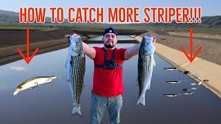 How To : Striped Bass Fishing | California Aqueduct Lures Edition 2023