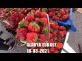 ALANYA Цены на рынке Клубники много 18 марта Алания Тосмур