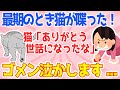 【2ch絶対泣ける話スレ】突然しゃべり出した猫→色々教えてくれた→結果【ゆっくり解説】