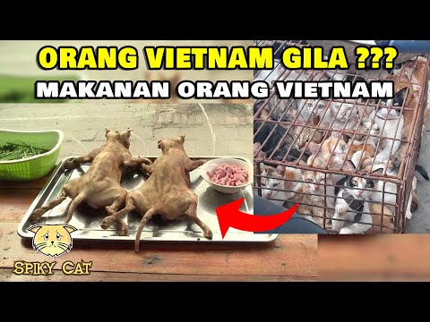 Video: Makan Kucing Dan Anjing Sekarang Dilarang Di AS