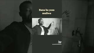Bana Ba Yesu
