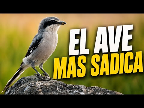 El verdugo del reino animal