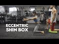 Eccentric shin box