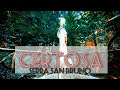 MAGICAL FOREST OF SERRA SAN BRUNO AND CERTOSA MONASTERY | fall vibes in #calabria #italy