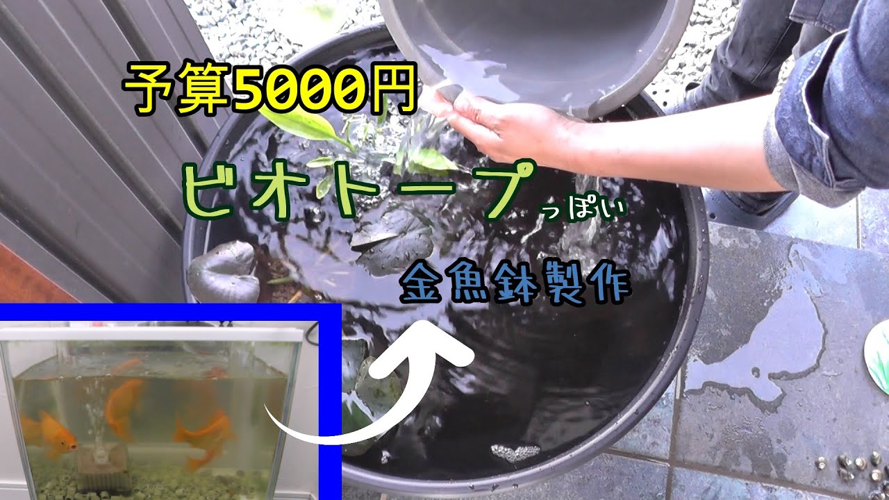 銘有り #花器 #植木鉢 #花壇 #メダカ #鉢 #ビオトープ #金魚 #水槽 メダカ鉢 オーバーフロー付き 睡蓮鉢 めだか 金魚鉢 陶器 白 黒