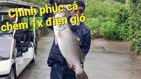 Chinh phục cá chẽm 1x điện gió Hòa Bình 1 Bạc Liêu | Hoàng Thích Câu Cá