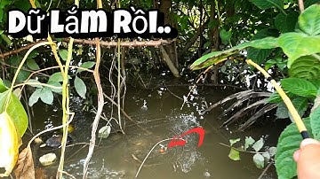 Tập 82 - Giật Cá Mà Tội Nghiệp Cây Cần Luôn, Trúng Rất Nhiều Cá Lớn Ở Khu Này | Câu Cá Rô Đồng