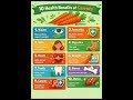 Let we know the importance of vegetables for good health...