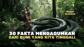 Dari Hutan Amazon sampai Gurun Sahara ! Berikut FAKTA MENAKJUBKAN Dari Bumi !