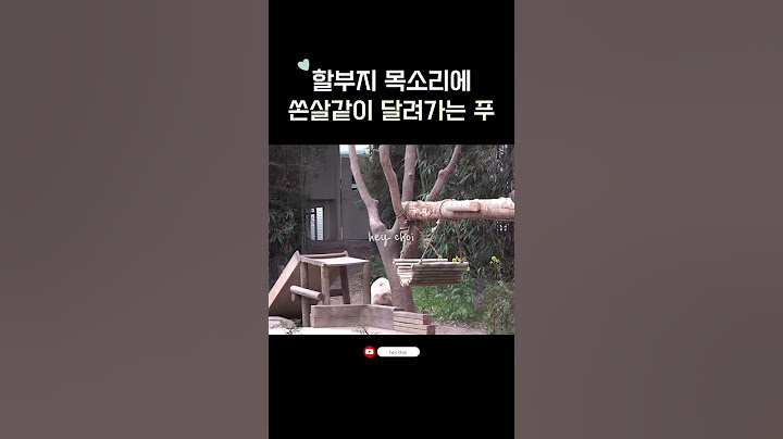 할부지 목소리에 전속력으로 달려가는 푸!!!💨 | #Shorts#FuBao#Kangbao#everland#panda