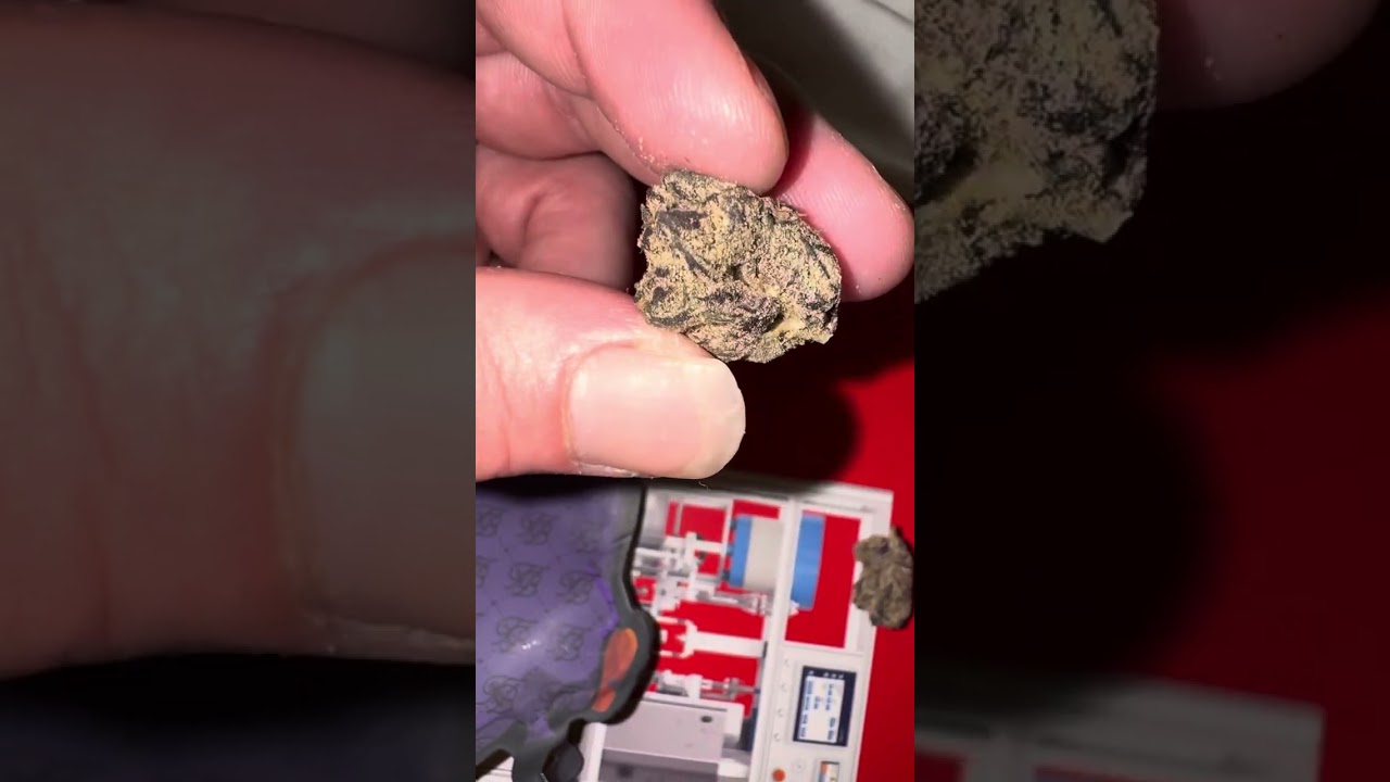 TERPY TIME TASTE BUDS - TEDS BUDZ - BLUEBERRY CHERRIES 