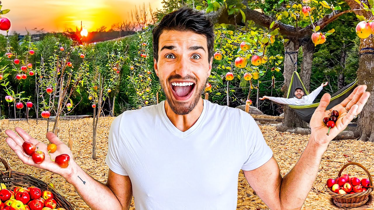 I Built an Orchard
